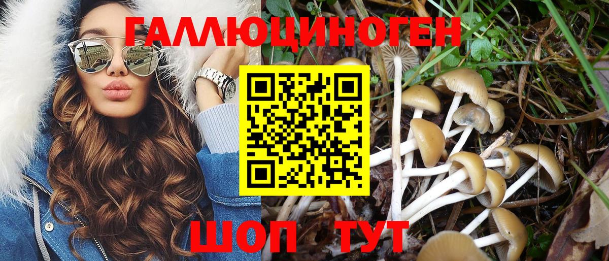 Галлюциногенные грибы Psilocybine cubensis Воркута